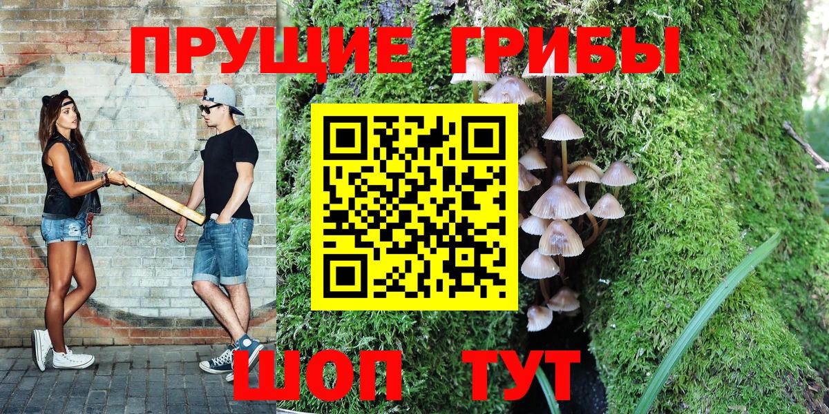 Псилоцибиновые грибы Psilocybine cubensis Урюпинск