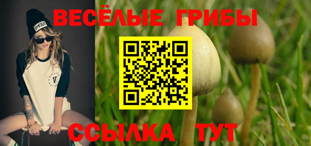 Урюпинск  Псилоцибиновые грибы Psilocybine cubensis  Вход с VPN 